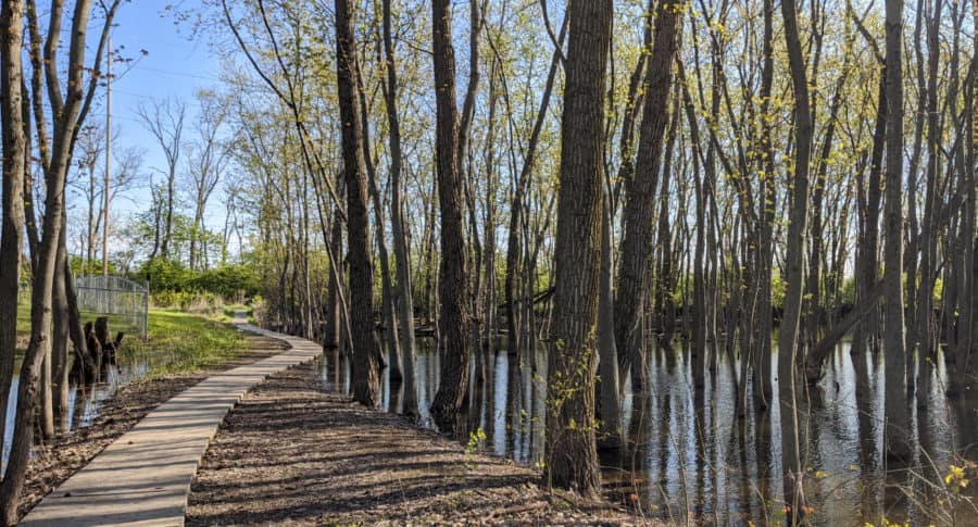 Gilmore Metropark boardwalk