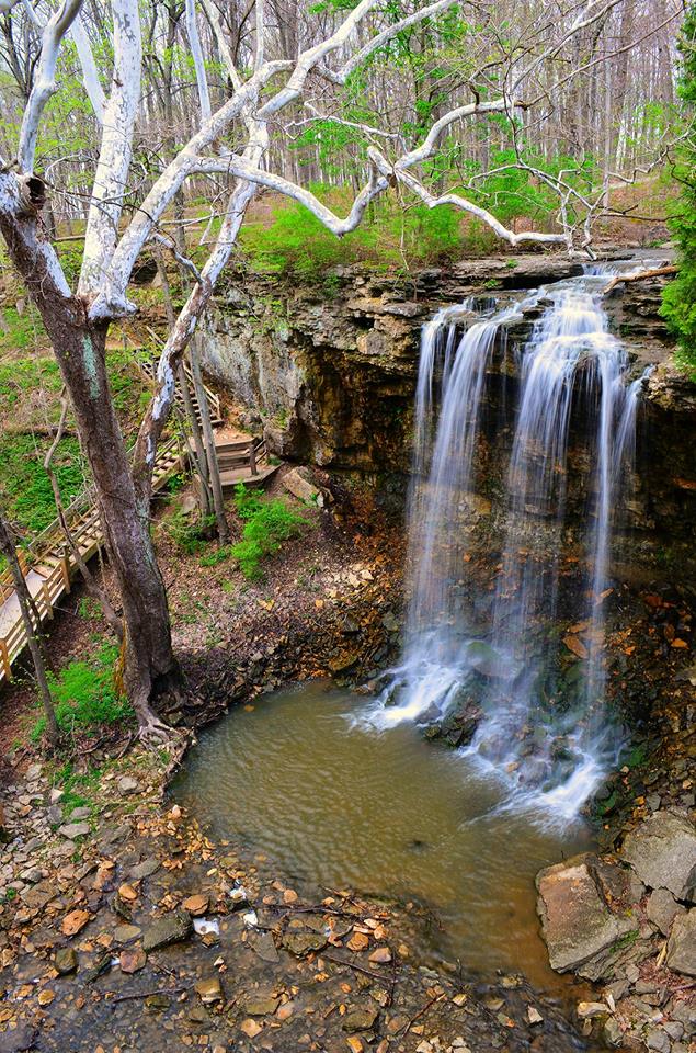 Charleston Falls waterfall
