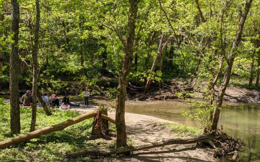 the creek at Winton Woods, Kingfisher Trail
