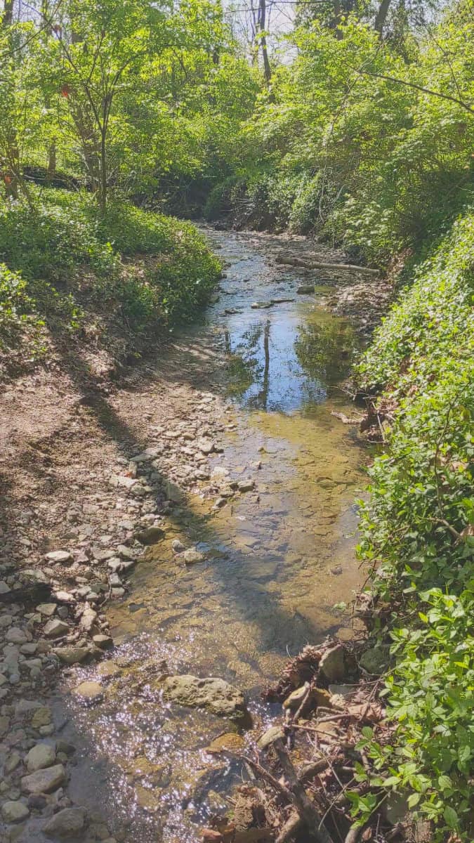 the creek at Caldwell Nature Preserve
