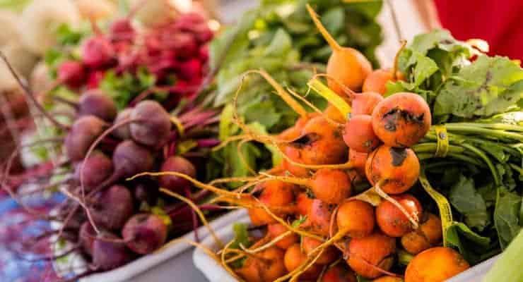 Vegetables from Farmers Markets 