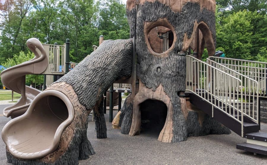 tree slide at Home of the Brave Park