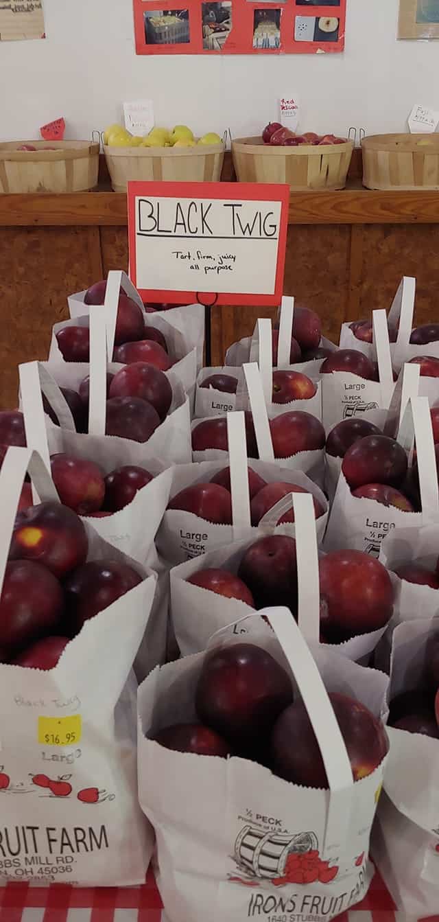 apples at Irons Fruit Farm