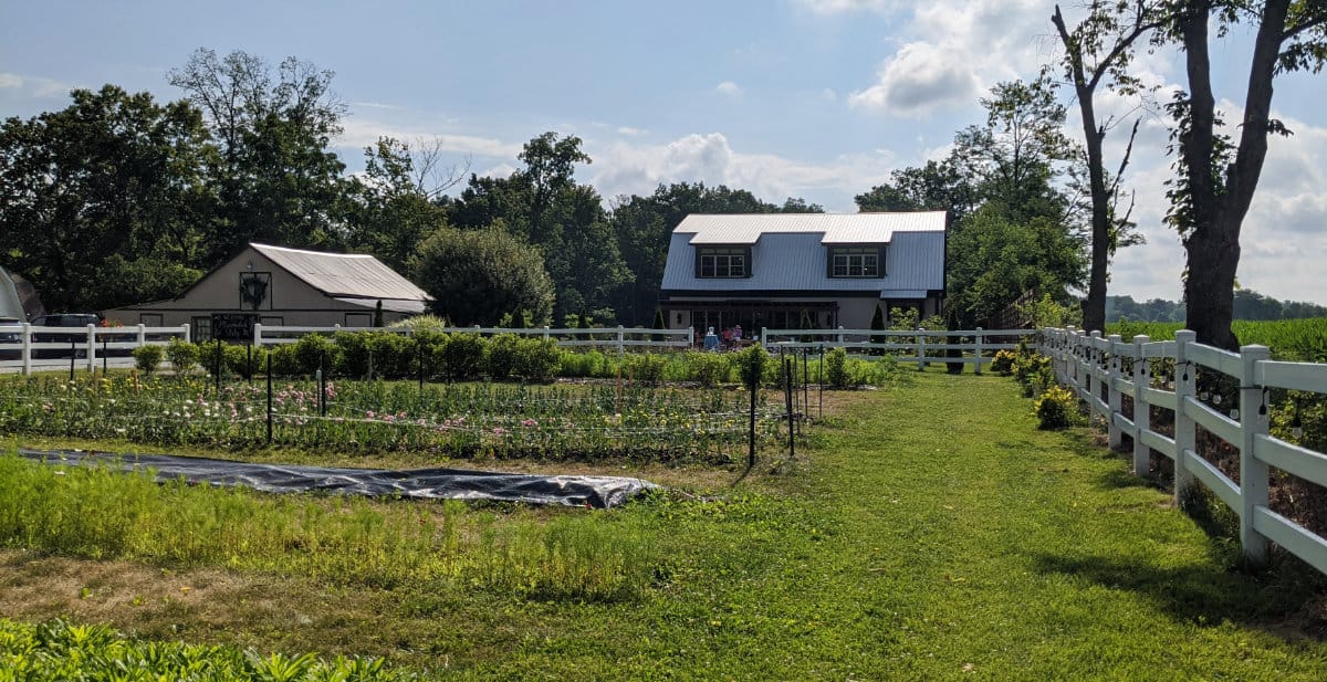 The U-Pic flower beds at Marmalade Lily