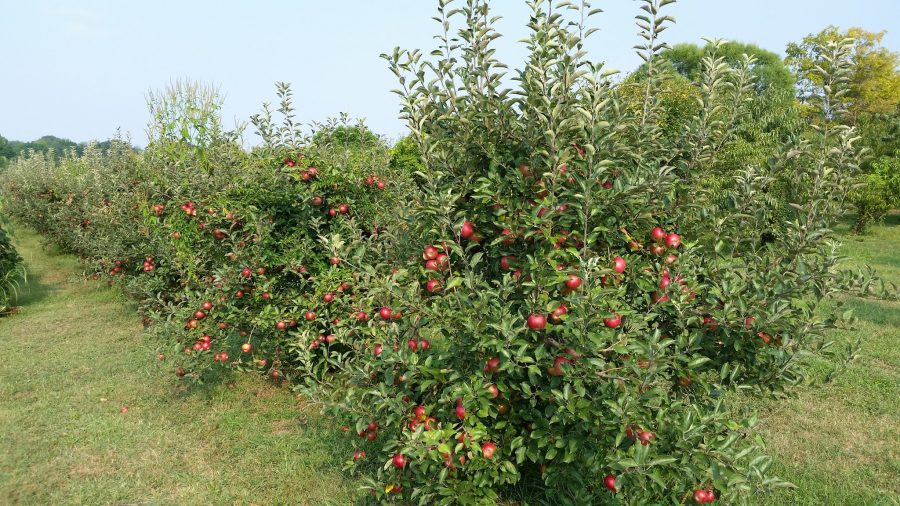 Monnin's Fruit Farm in Dayton, Ohio