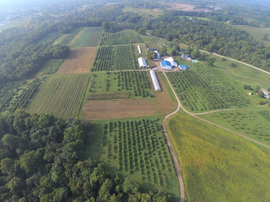 a great spot to pick apples - Wesler Apple Orchards in New Paris, Ohio