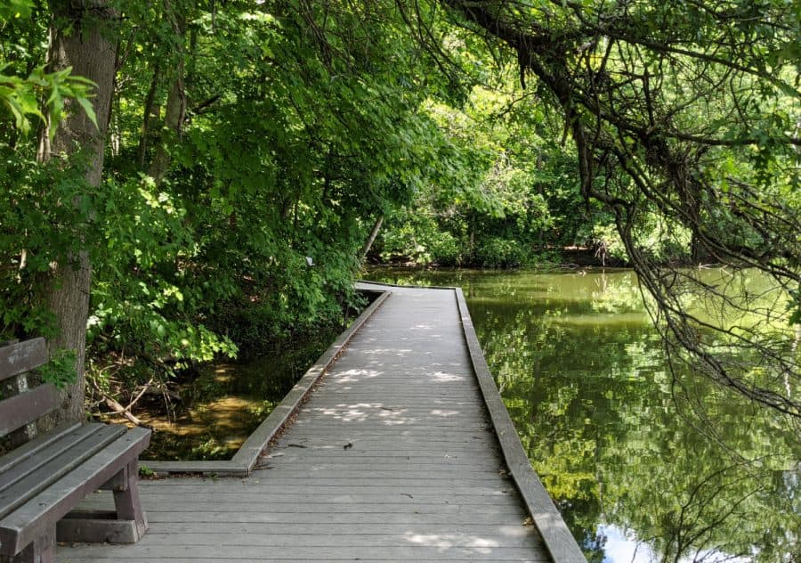 The boardwalk along a pond at Cincinnati Nature Center
