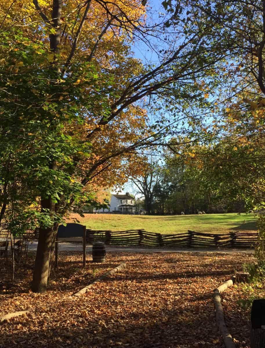 The lawn at Conner Prairie outside of Indianapolis
