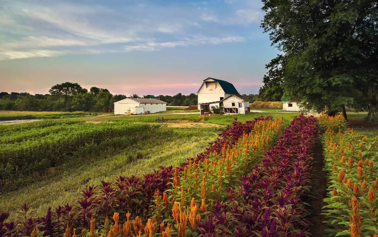 Farm stay in an Indianapolis Airbnb