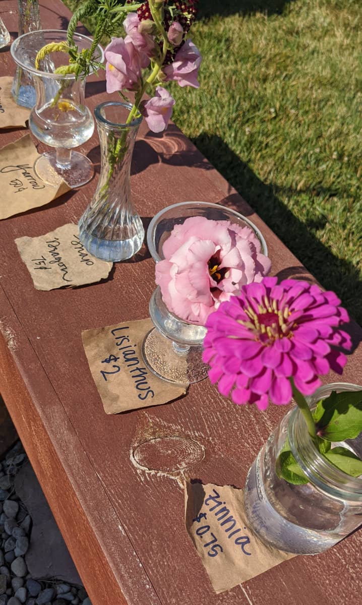 Cut flowers in vases