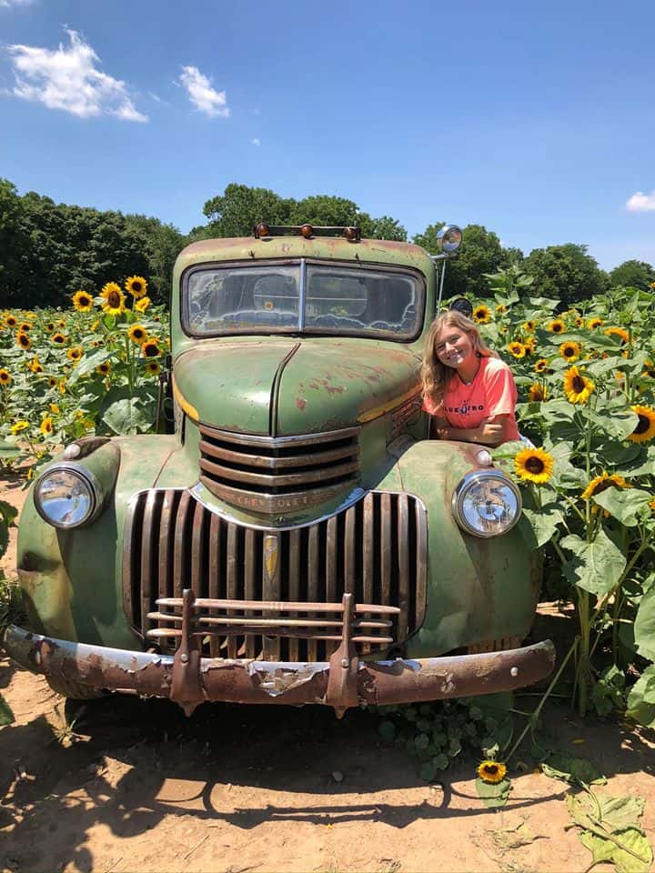 Chevy Truck at the Lynd Fruit Farm sunflower fields