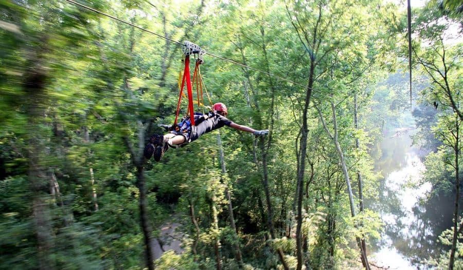 Person ziplining through the trees at Hocking Hills Canopy Tours