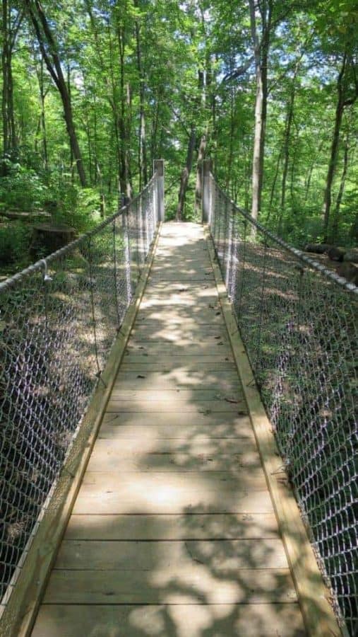 the bridge at Rentschler Park