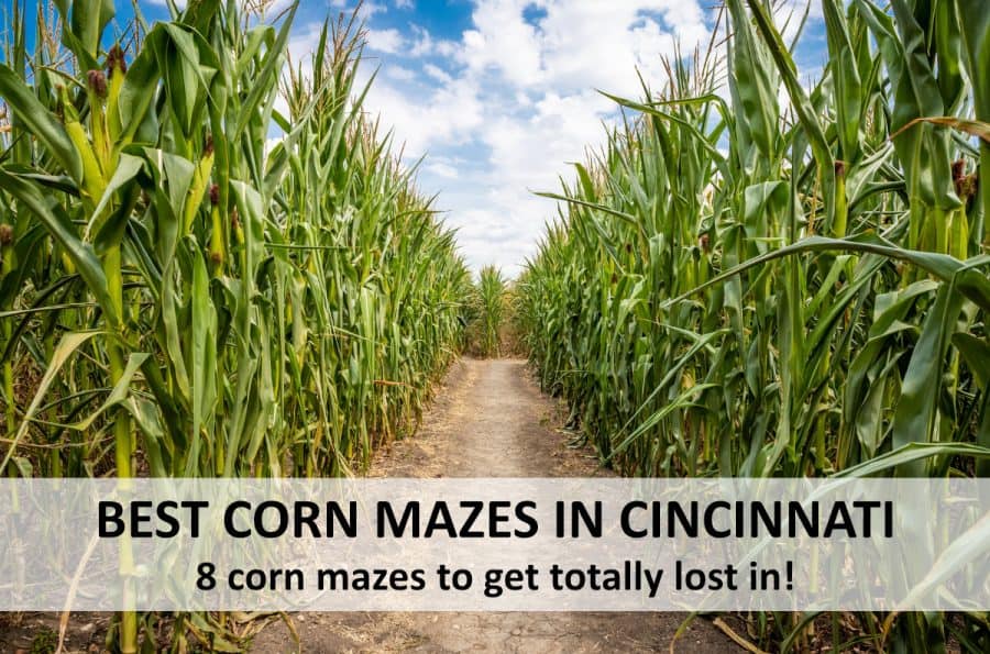 Best Corn Mazes Near Cincinnati Get Lost In One This Fall! {2024