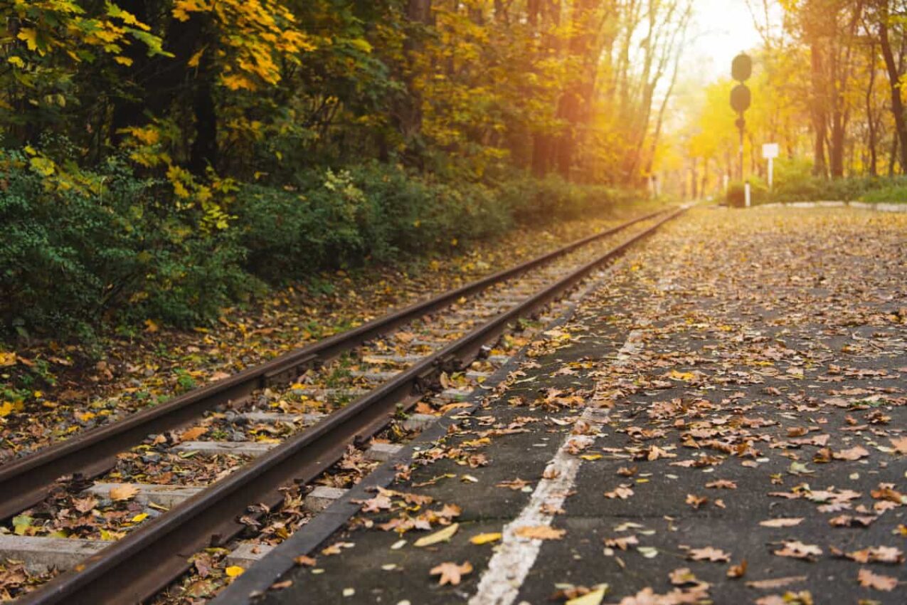 Fall Train Rides in Ohio – Hop Aboard to See Fall Foliage in All Its Glory!