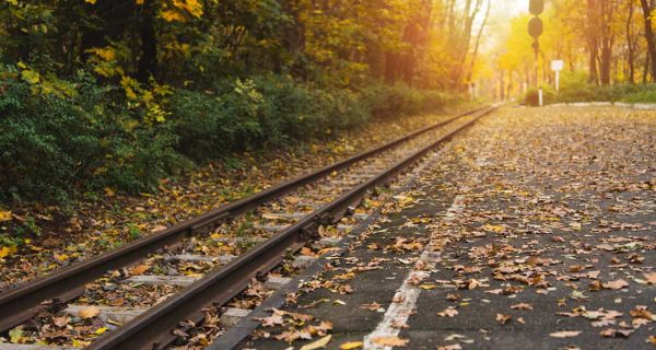 Fall Train Rides in Ohio – Hop Aboard to See Fall Foliage in All Its Glory!
