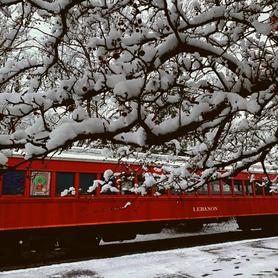 red train car under a snowy tree branch