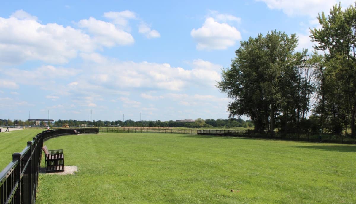 Dig Into the 12 Best Dog Parks in Cincinnati 365 CINCINNATI
