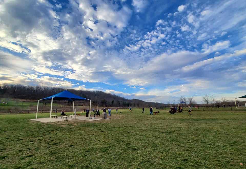 Dig Into the 12 Best Dog Parks in Cincinnati 365 CINCINNATI