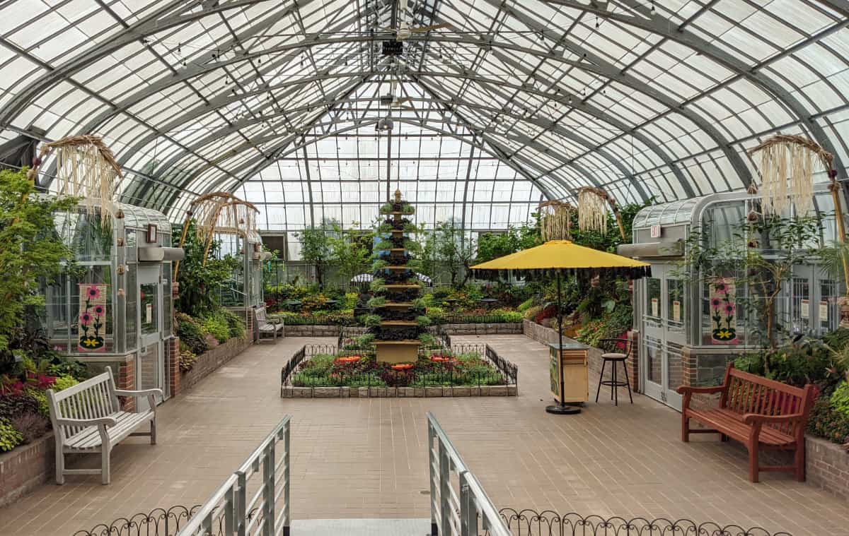The Butterfly Show at the Krohn Conservatory is Back for 2021!