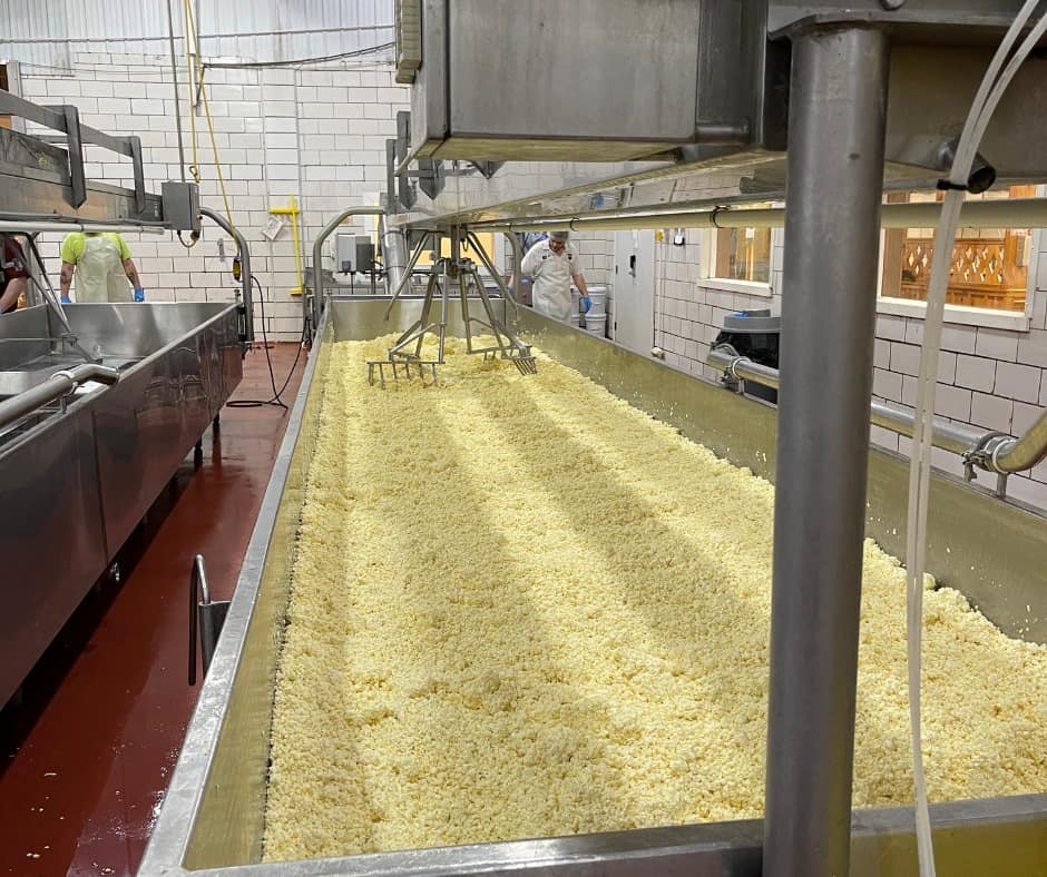Making cheese at Heini's in Ohio