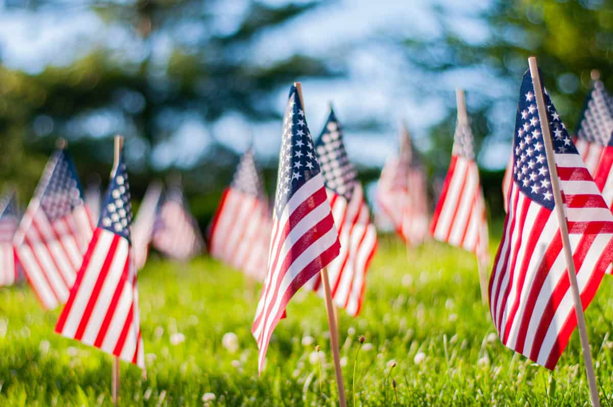 American flags on a lawn for Memorial Day