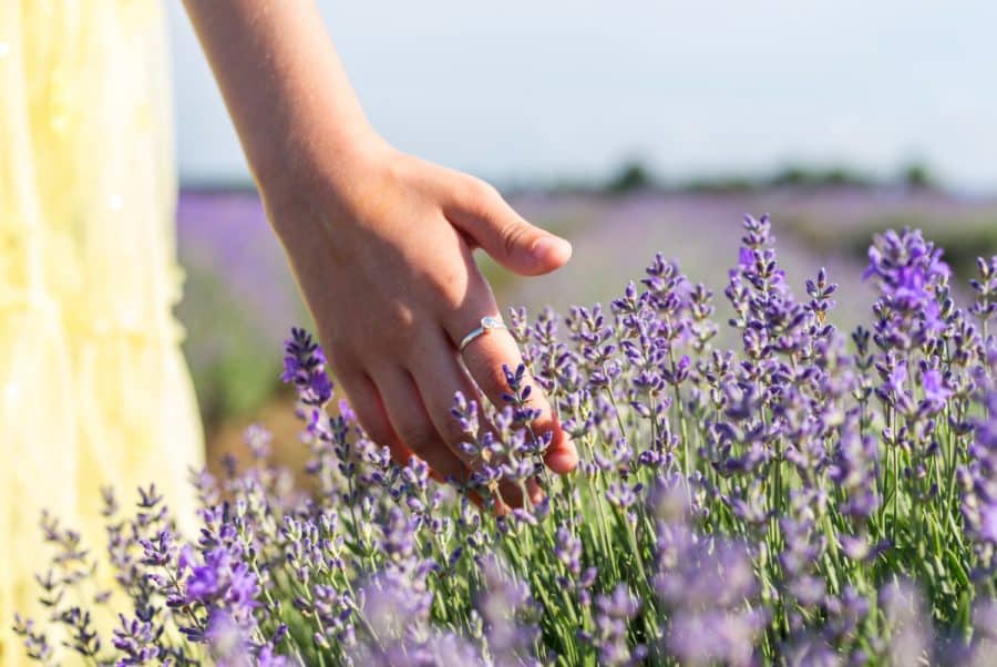 girl in dress walking through a lavendar farm