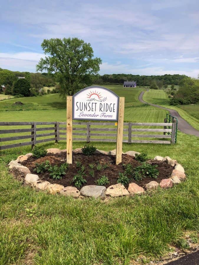 Sunset Ridge farm sign with rolling hills and farm house in the background