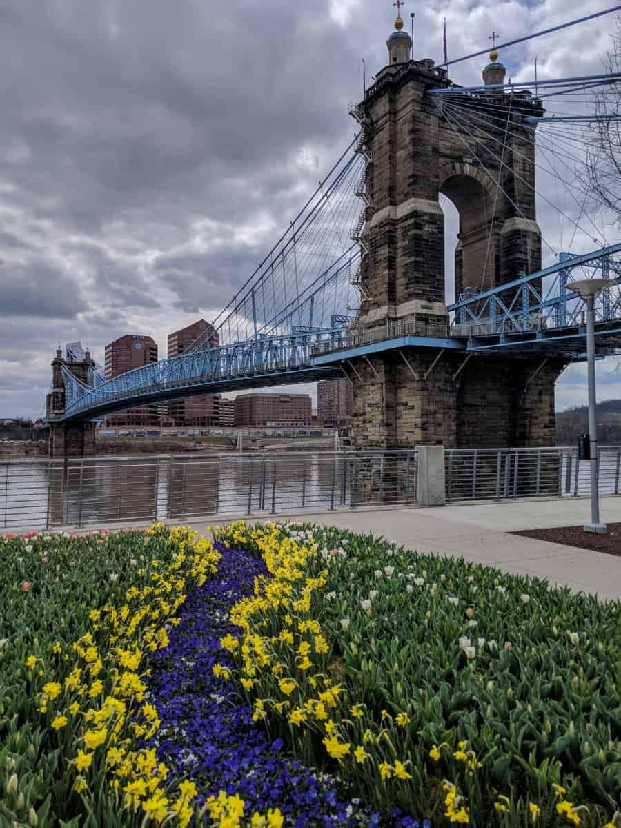 The Roebling Bridge as it crosses the Ohio River at Smale Park