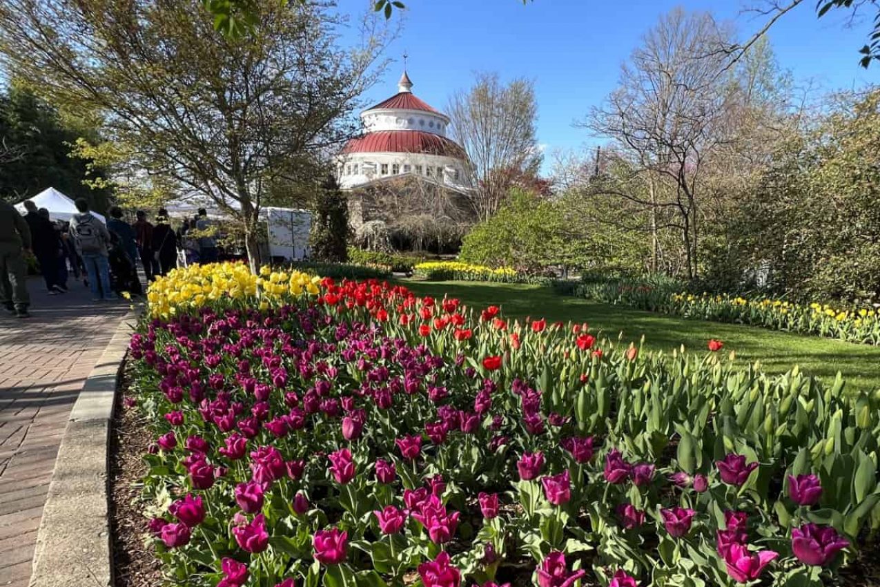 Tunes and Blooms at the Cincinnati Zoo (with our tips!)