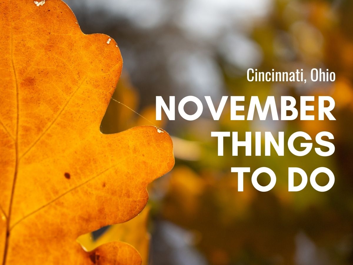 November things to do in cincinnati cover photo with orange fall leaf over a blurred background