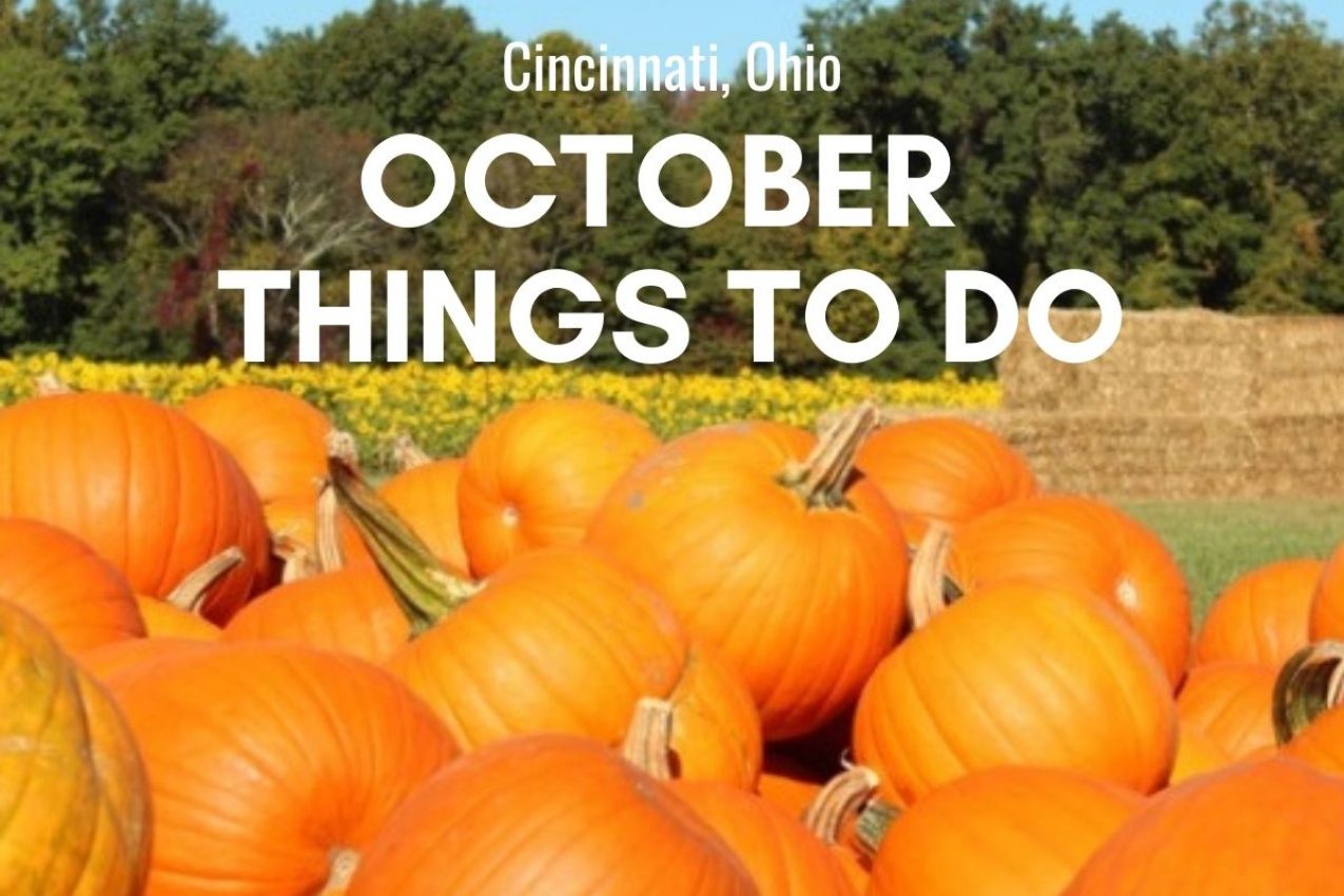 Best Things to Do in Cincinnati, October 2024