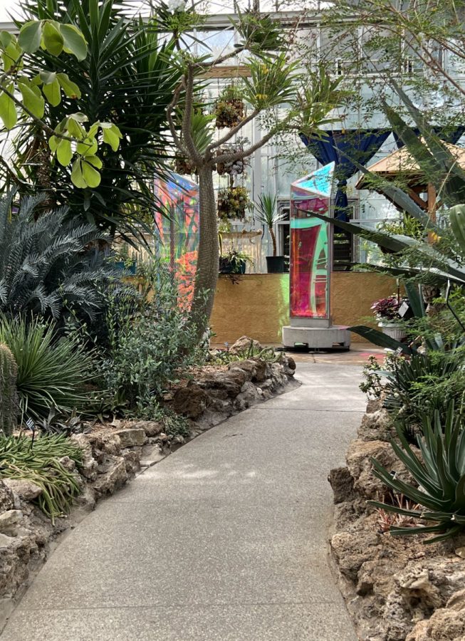 Prisms in the Krohn Conservatory's Desert House