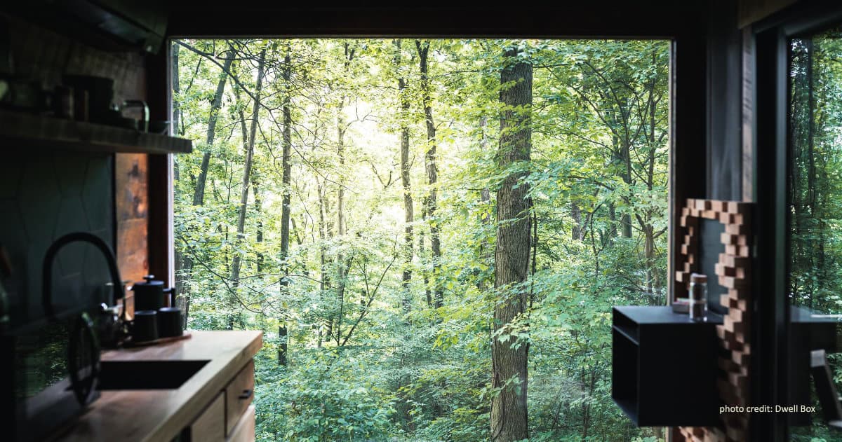 the view from a shipping container at Dwell Box Forest Haven