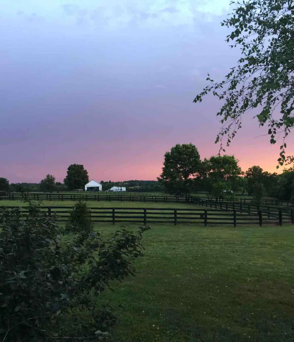 sunset over a horse farm in Lexington, Ky