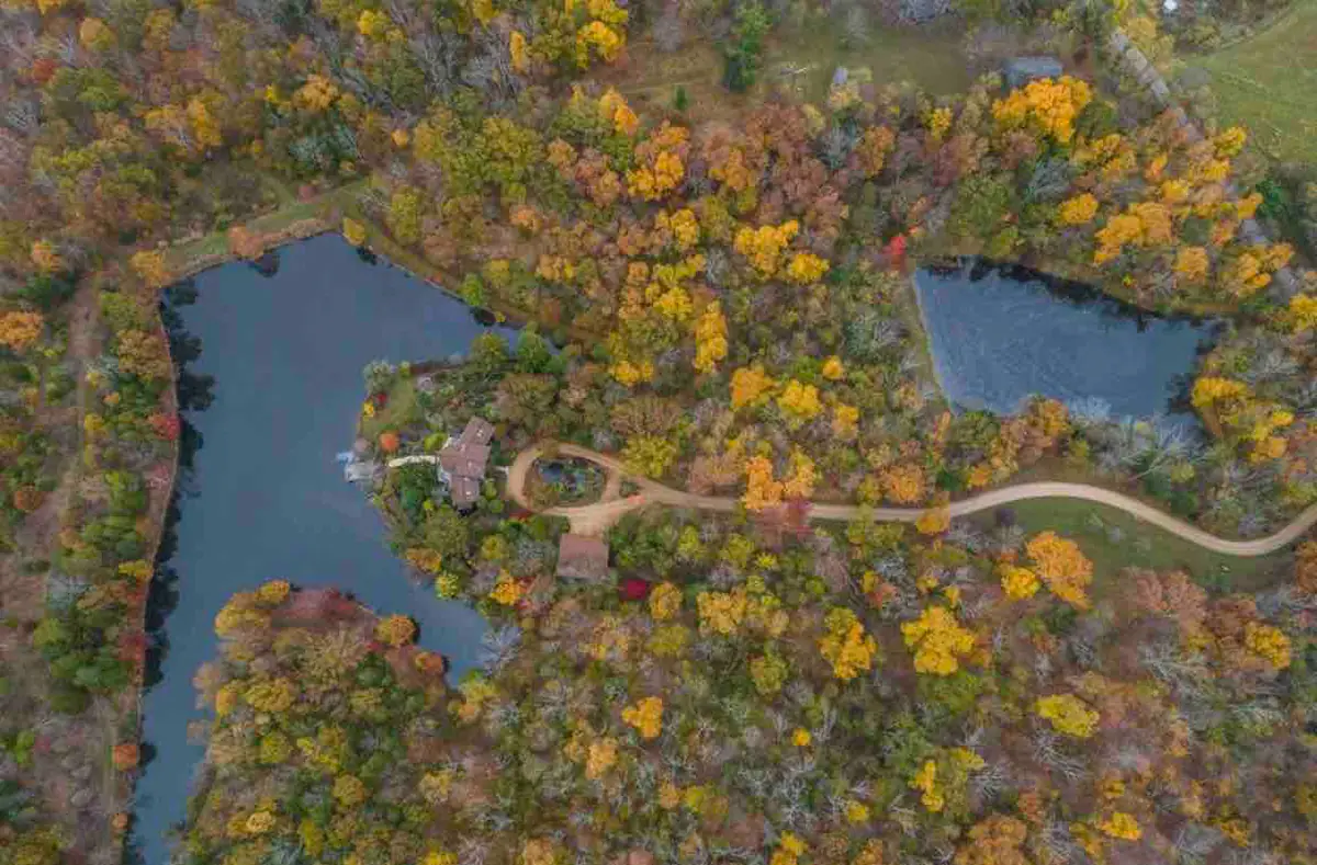 overhead view of the wooded area surrounding a cabin in Indiana