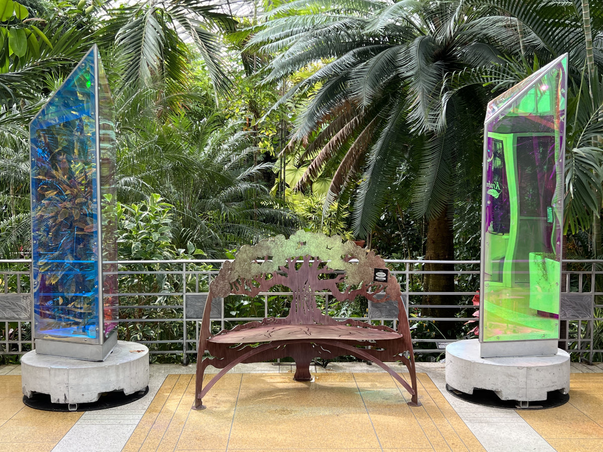 Prismatica Lights up Krohn Conservatory · 365 CINCINNATI