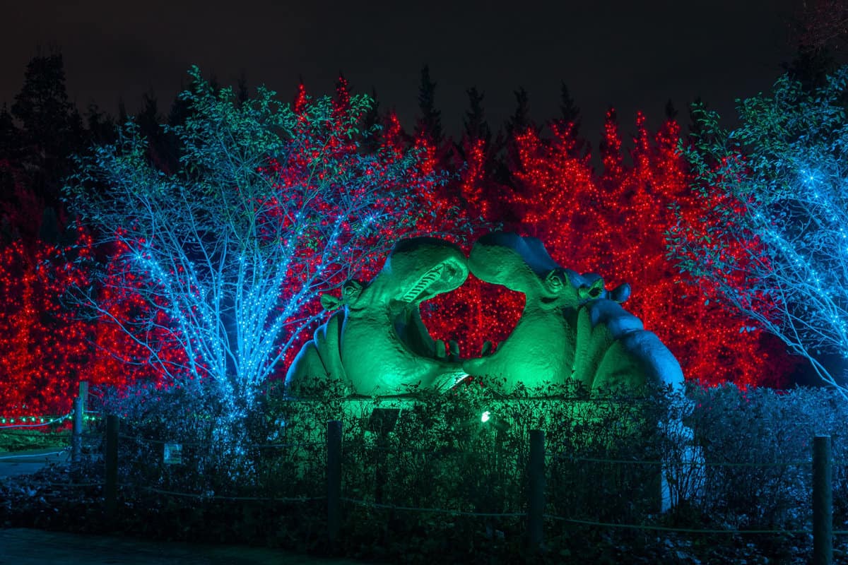 Christmas lights at the Toledo Zoo as part of our Christmas Towns in Ohio series