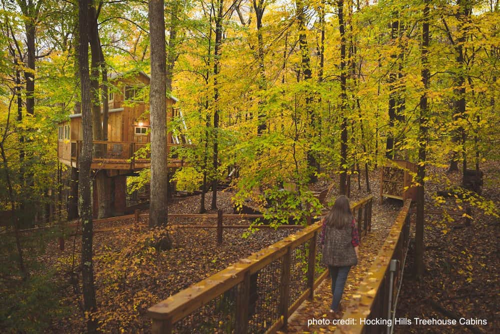 overview of a treehouse in the woods during fall in Ohio