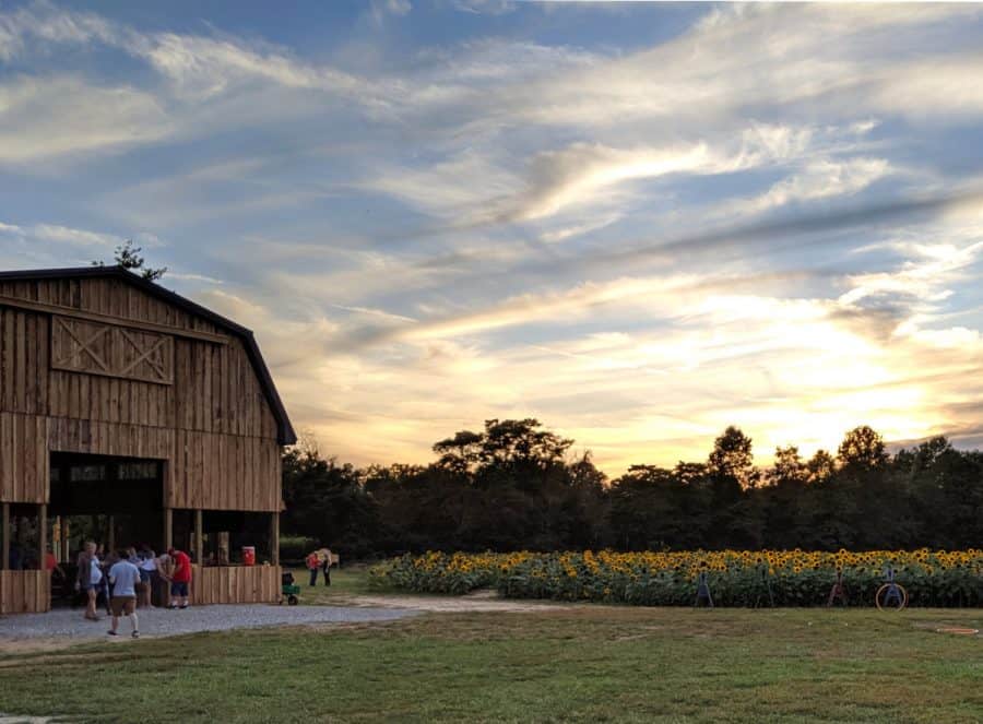 sun is setting over the farm at Fall on the Farm