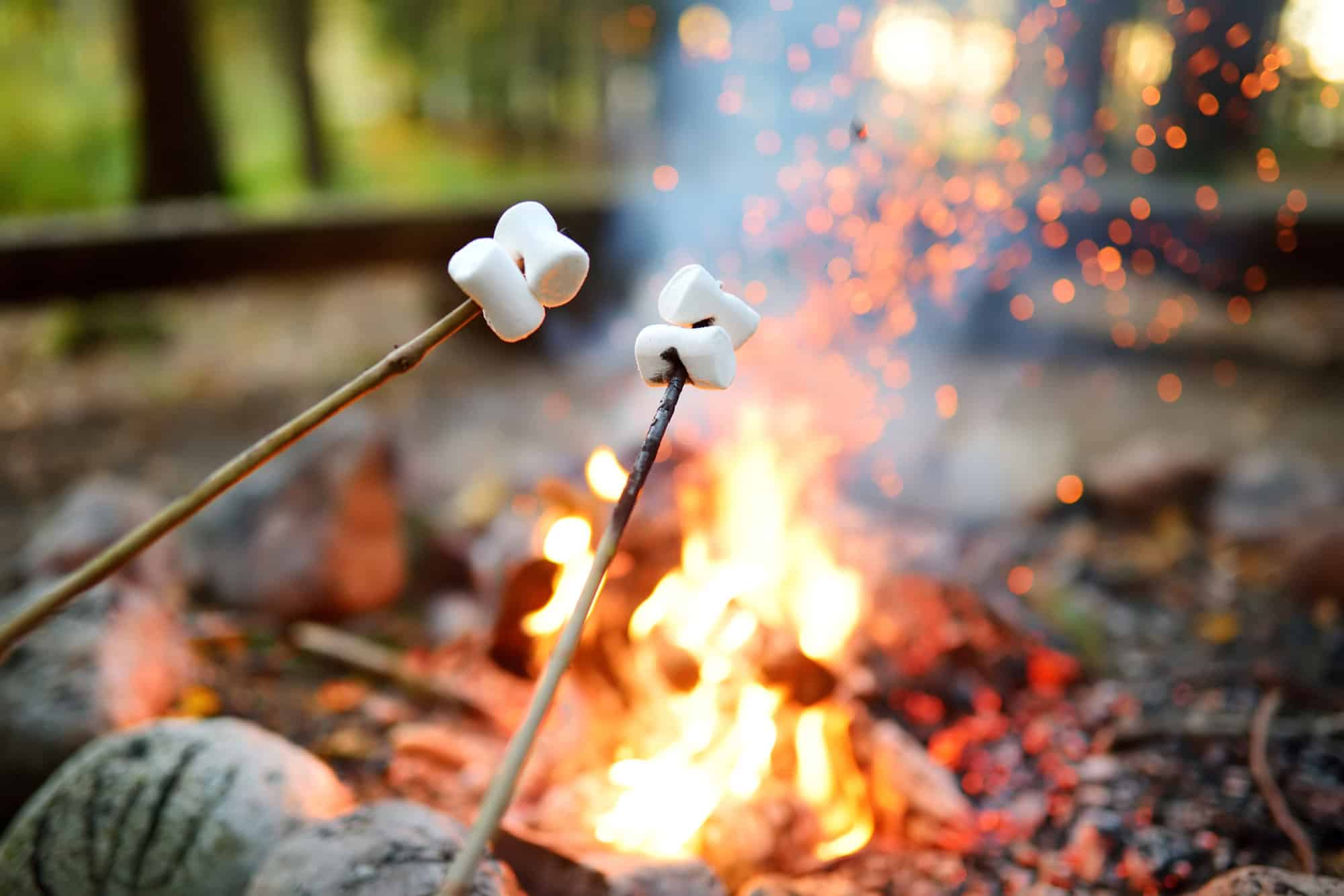 campfire with people roasting marshmallows