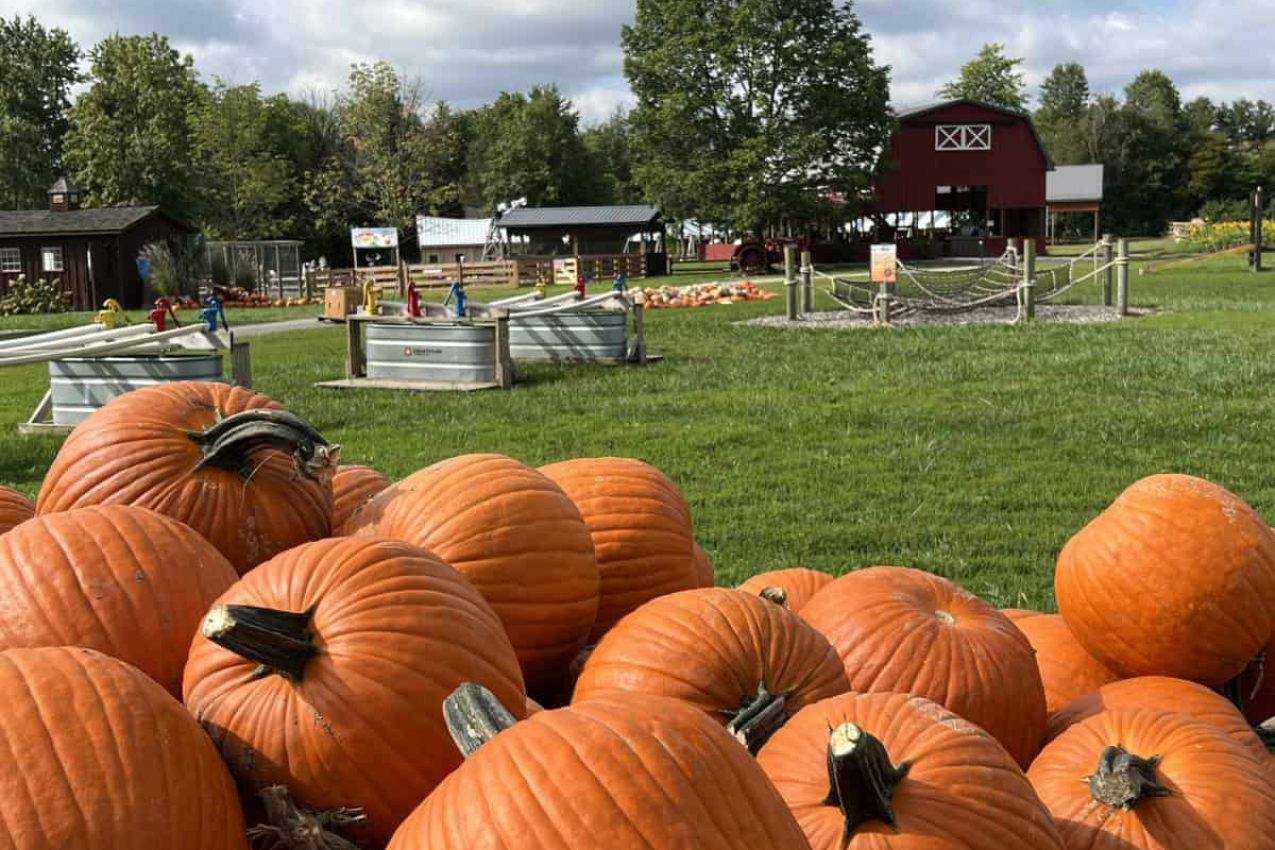 It’s time for Fall on the Farm at Blooms and Berries