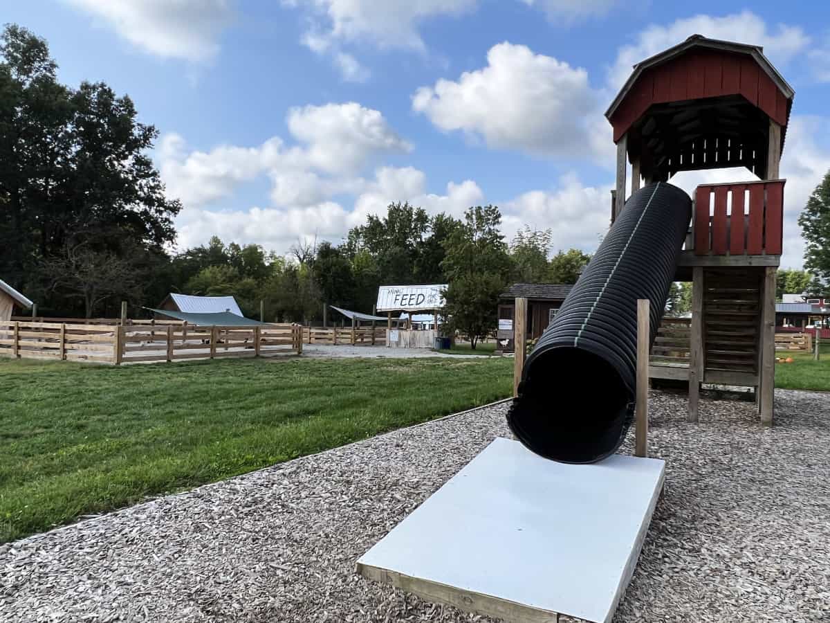 The slide and farm animals at Fall on the Farm