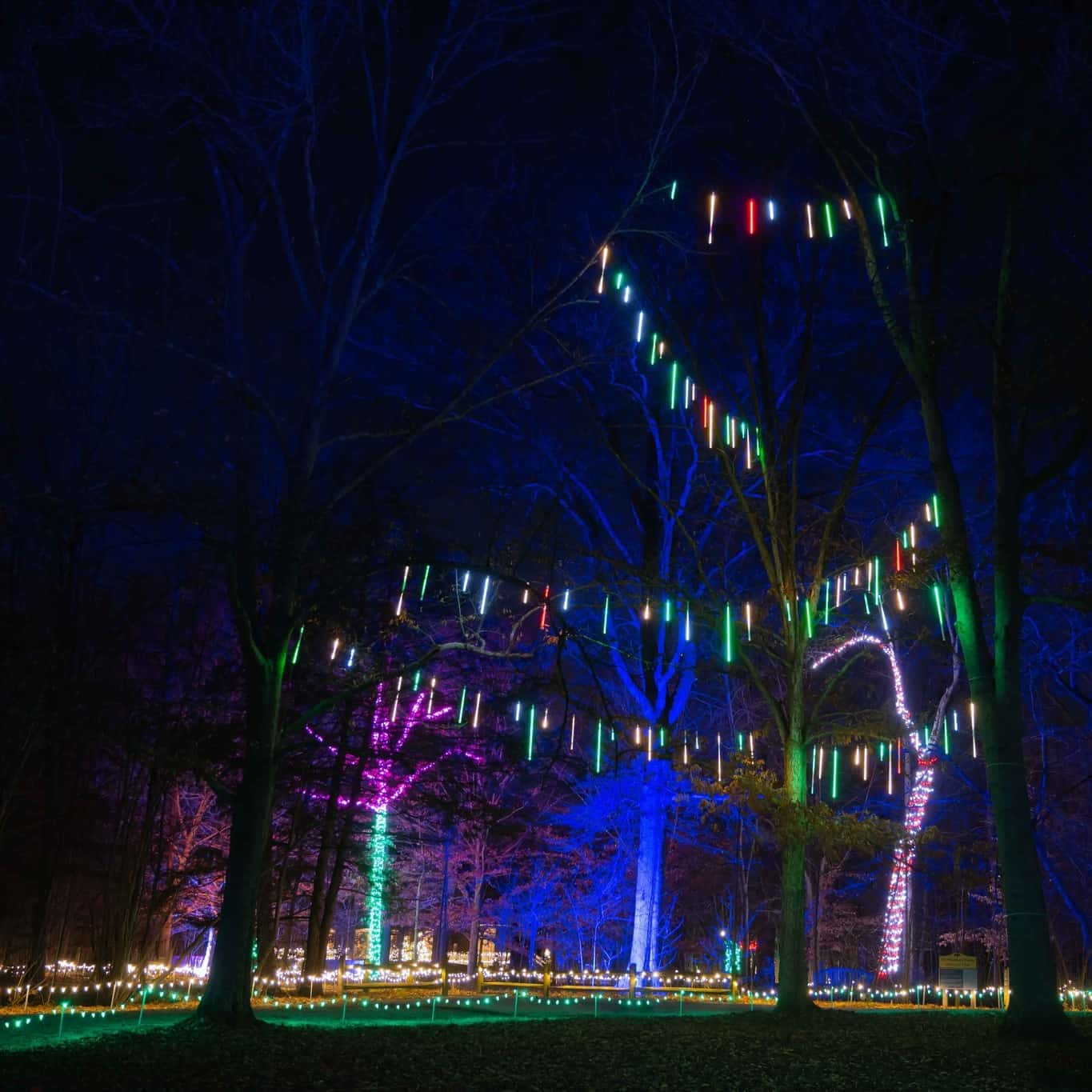 Cincinnati Nature Center in lights
