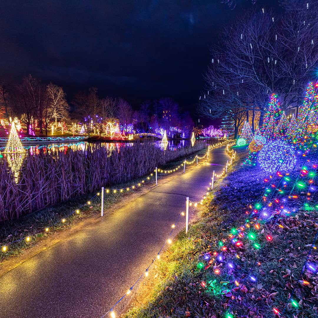 Creation Museum in lights