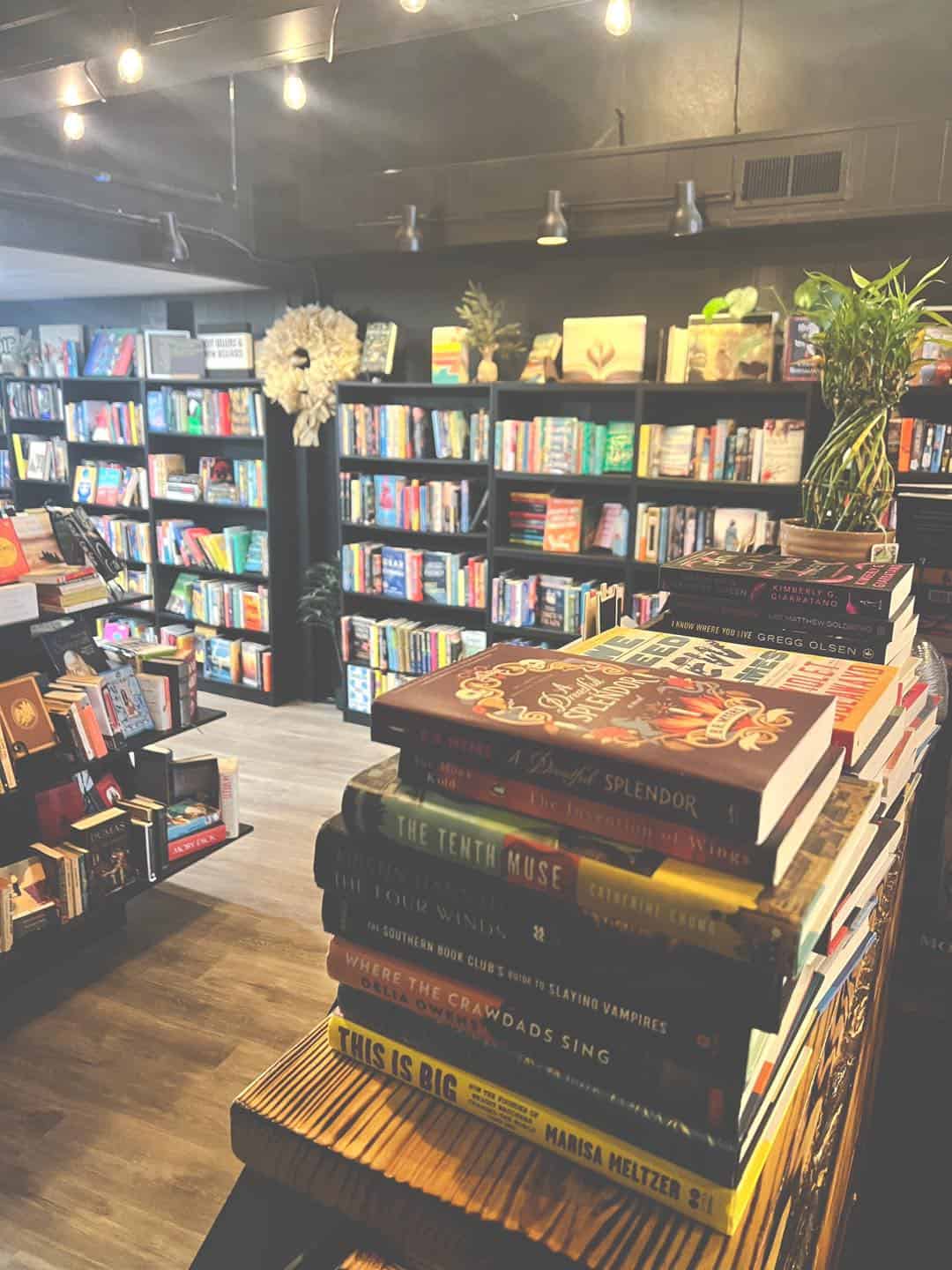 Books on the shelves and counter in a bookstore