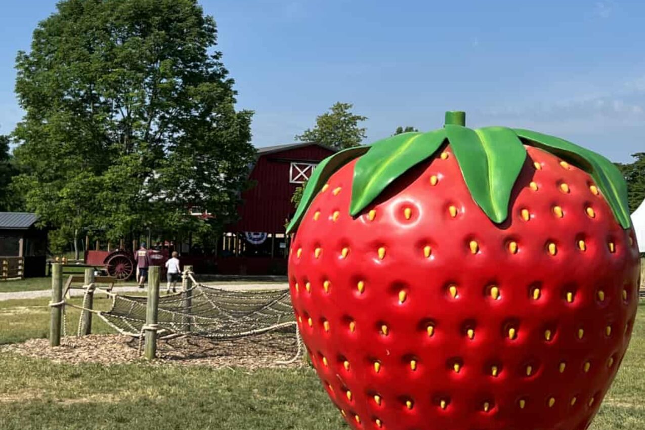 It’s Time for Strawberry Days at Blooms and Berries Farm Market