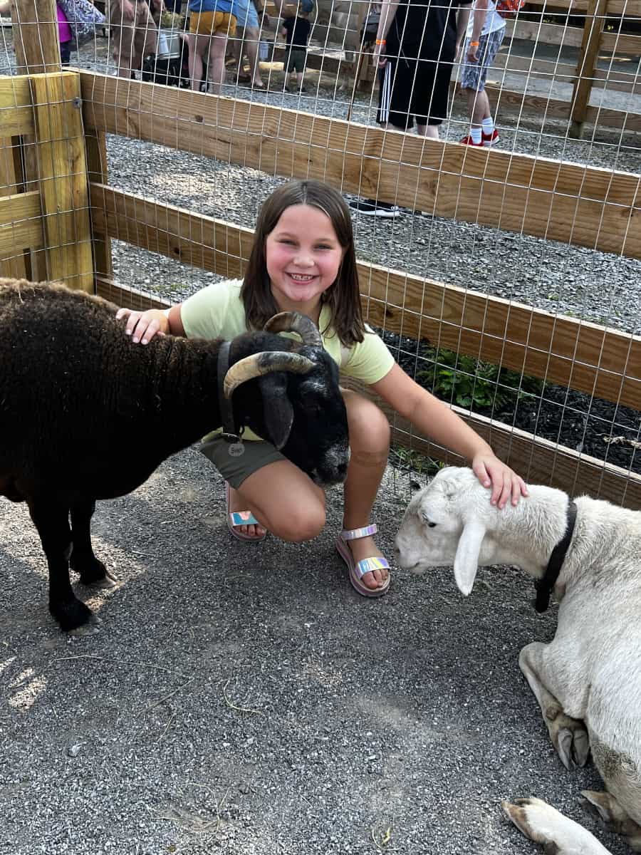 girl petting goats during Animal Encounter Weekends at Fall on the Farm