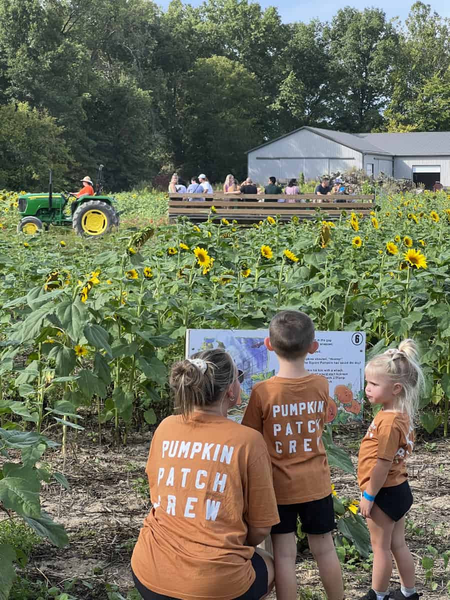 a family reading a sign in the sunflowers as a hayride goes past at Fall on the Farm
