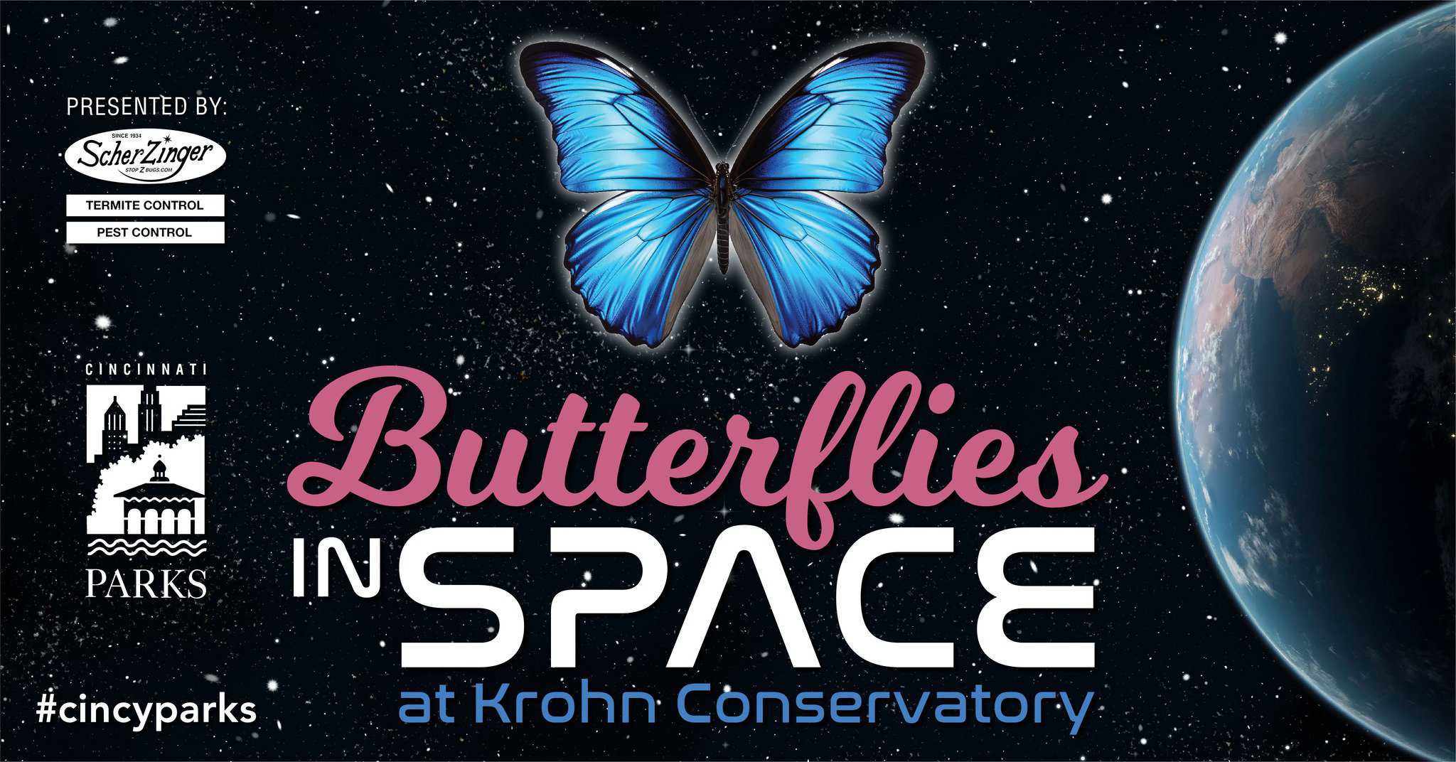 The Butterfly Show at the Krohn Conservatory